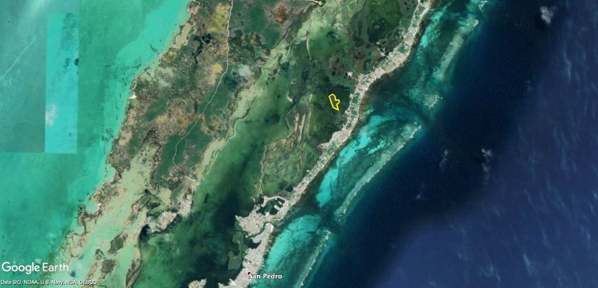 7.21 Acre Island inside Laguna de San Pedro on Ambergris Caye