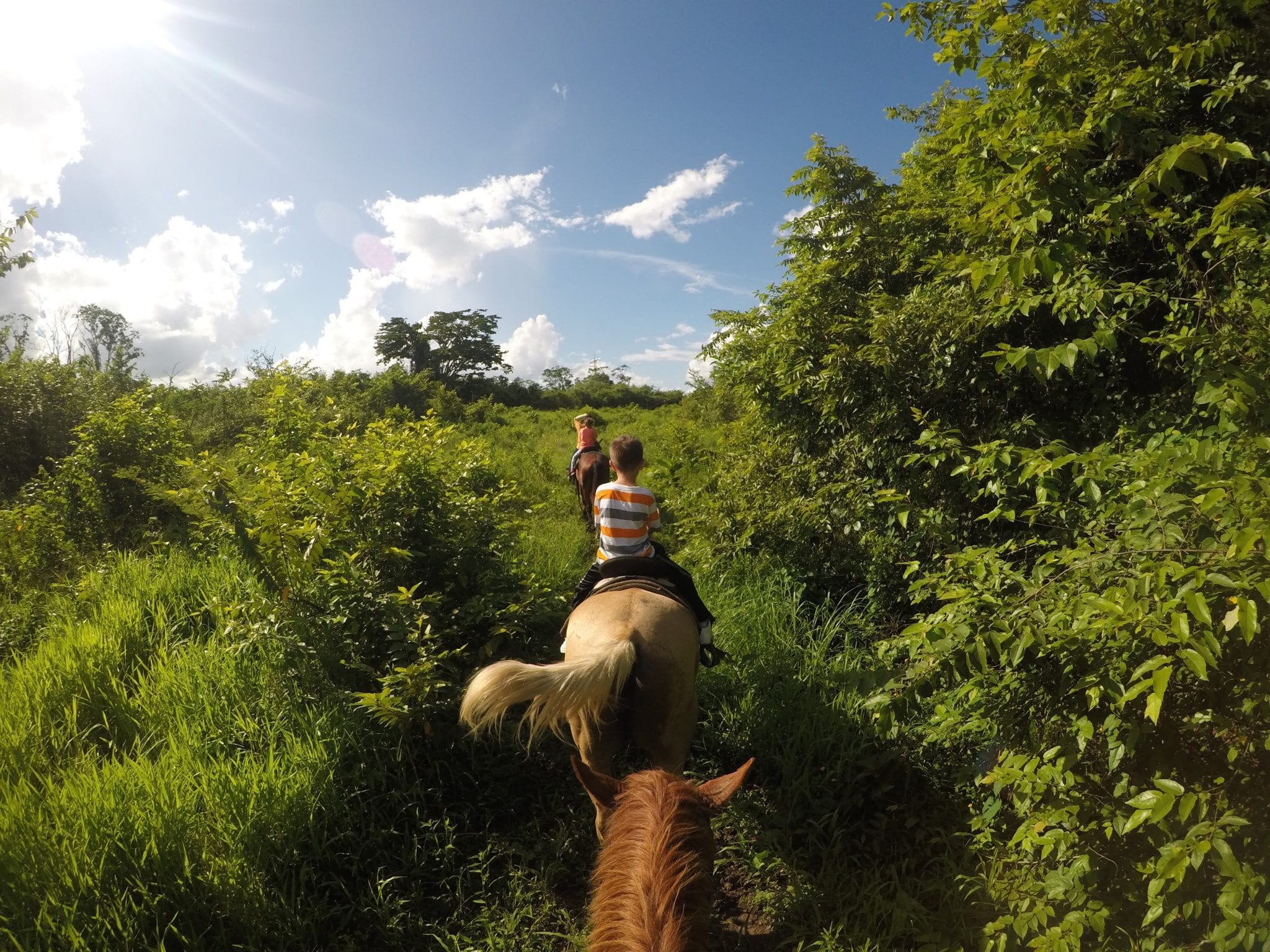 horse back riding