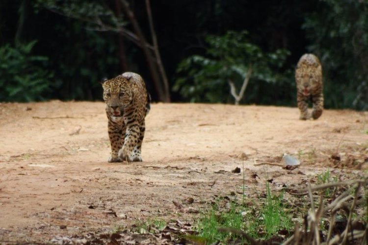 Top 10 Places to Visit in Belize in 2023