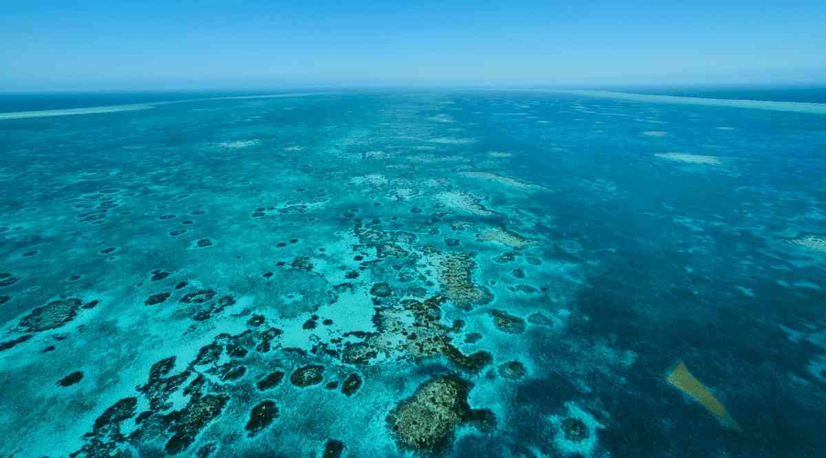 Belize Barrier Reef