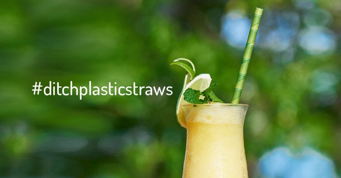 Caribbean paper straws