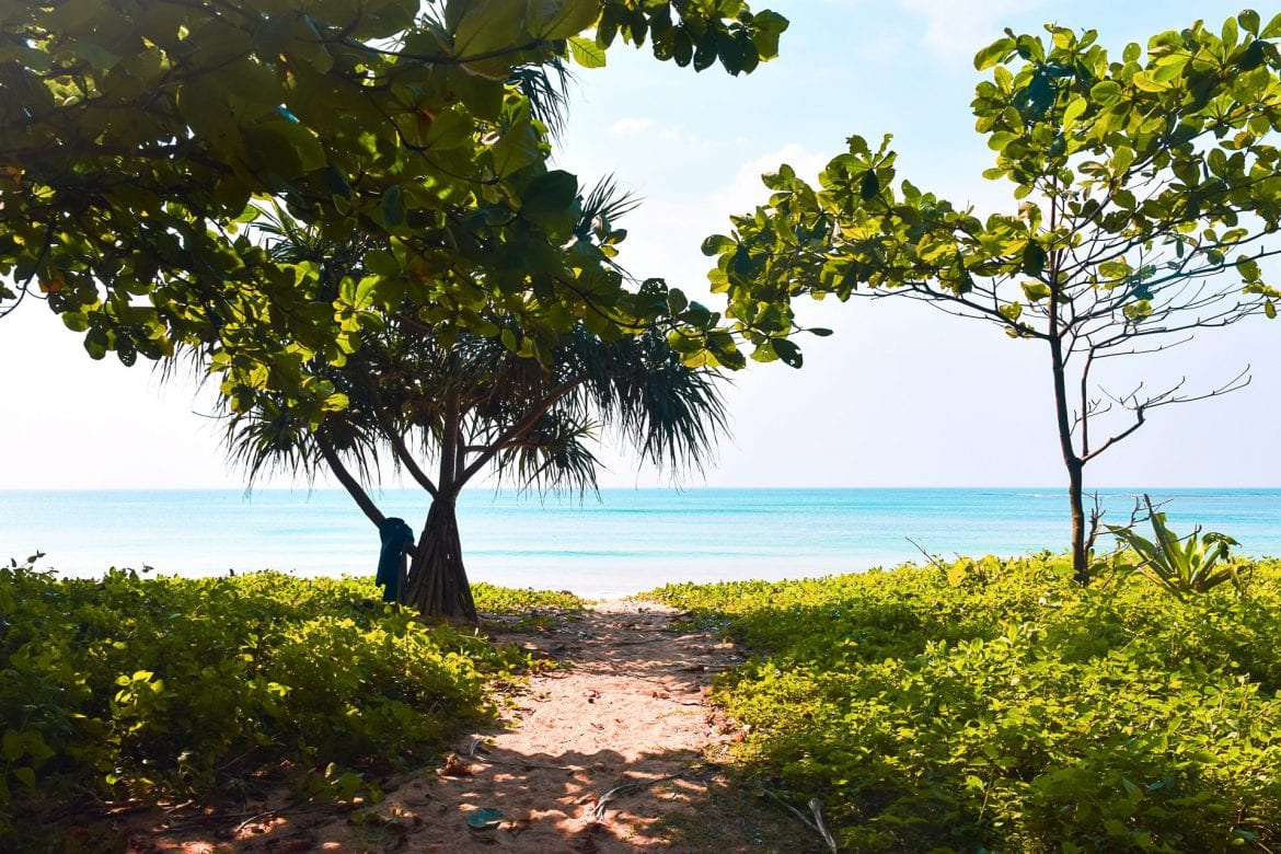 sarteneja beach-mangroves marcus-hjelm
