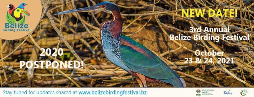 belize birding festival 2021
