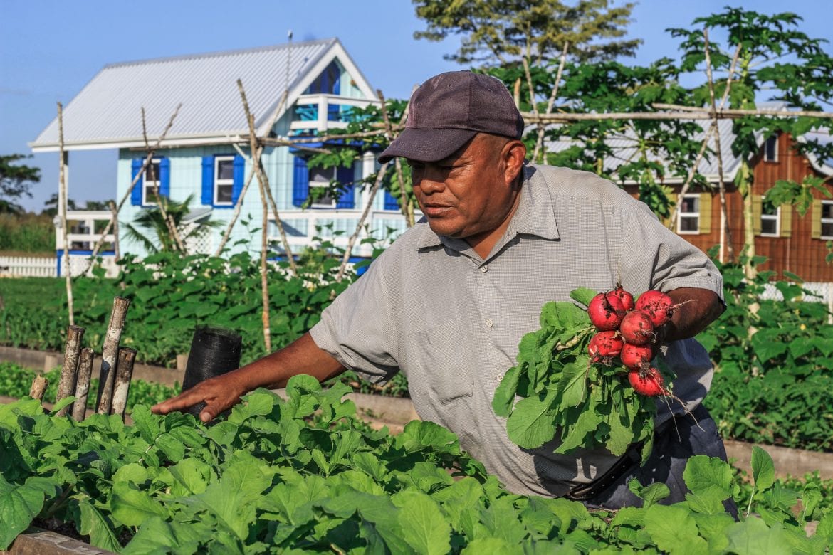 Carmelita Gardens self-sufficient