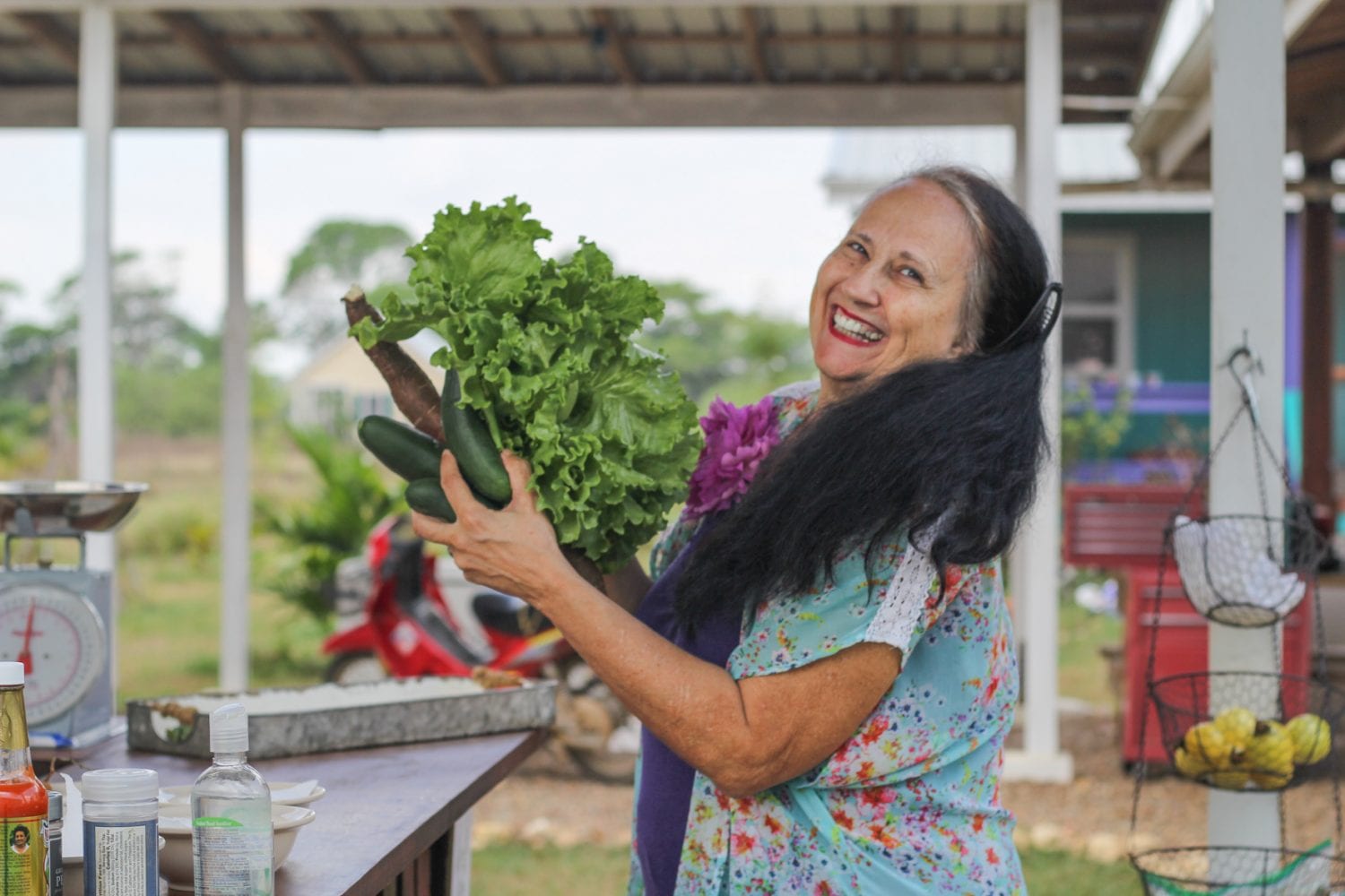 Carmelita Gardens vegetables