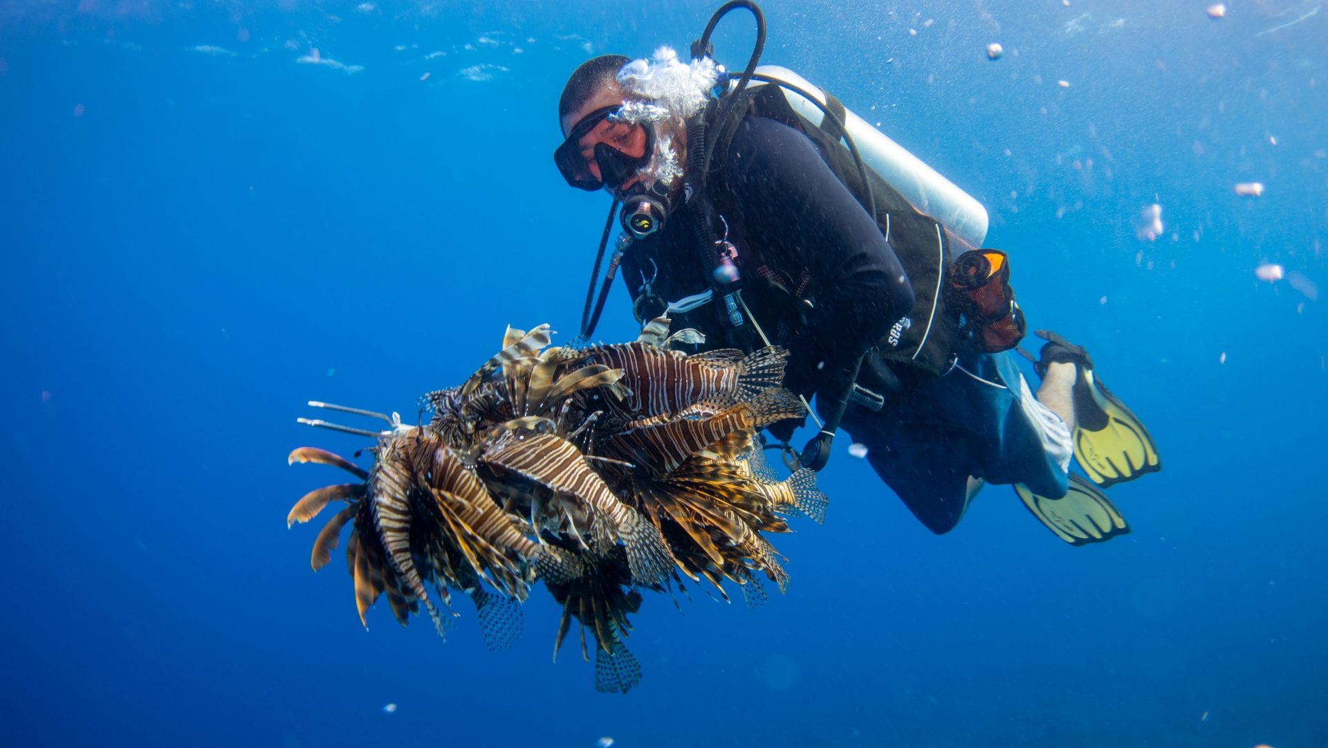 Spearfishing Lionfish in Belize