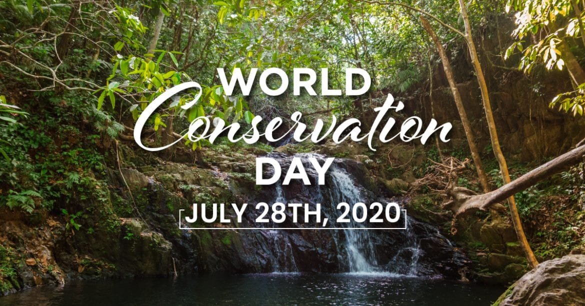 world conservation day