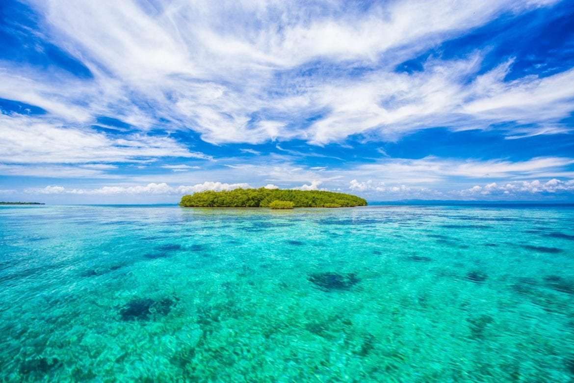 natural niche investment belize