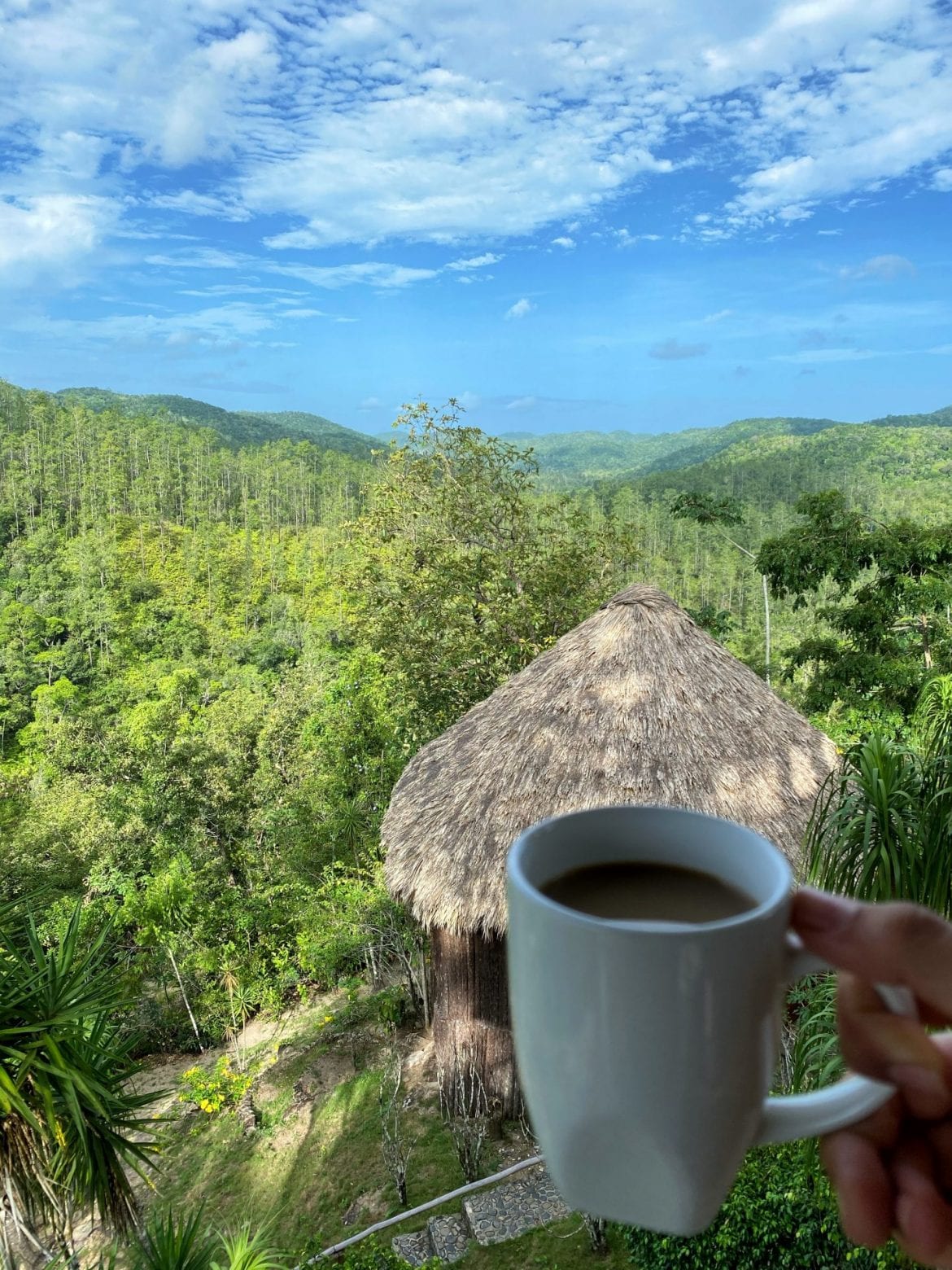 GAIA Riverlodge coffee mountain pine ridge