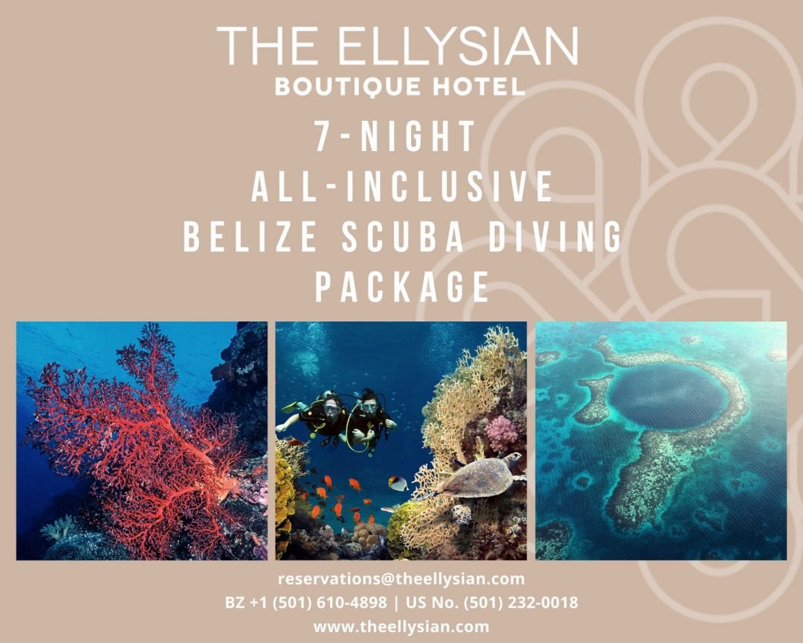 Elysian dive package belize all inclusive