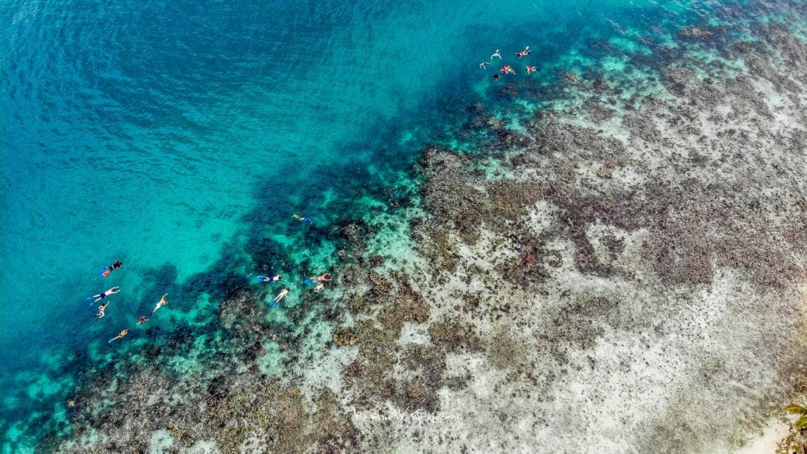 snorkeling Barrier Reef belize