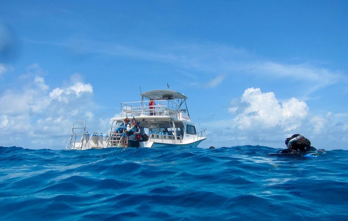 Splash Dive Center diving Caye by Carolee Chanona