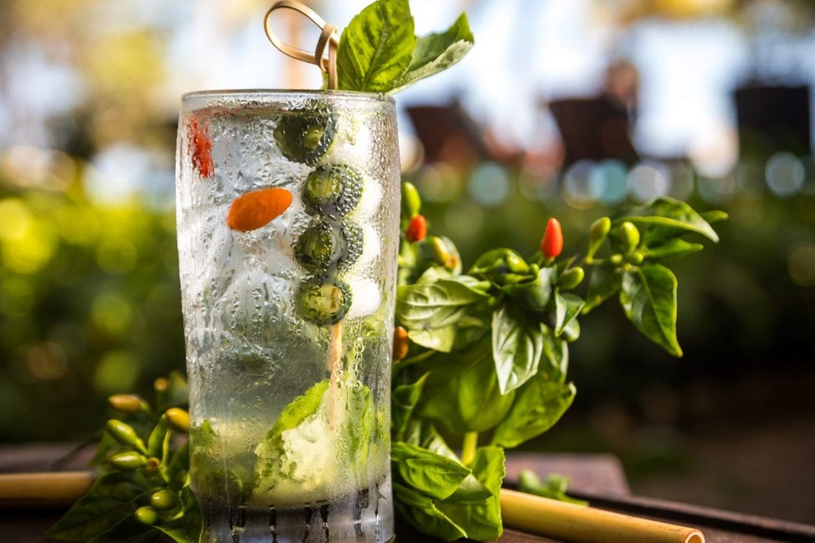hamanasi mojito