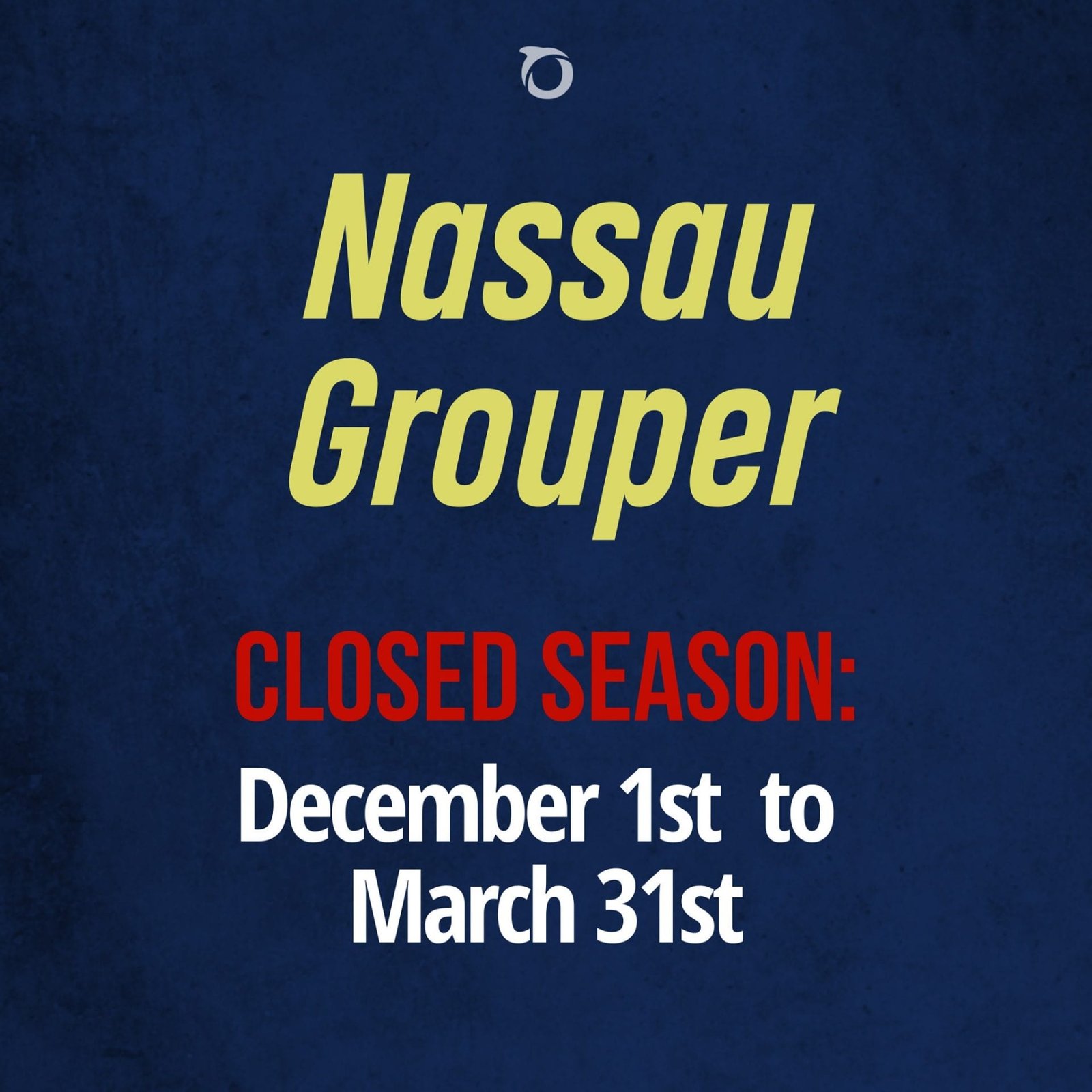 nassau grouper season