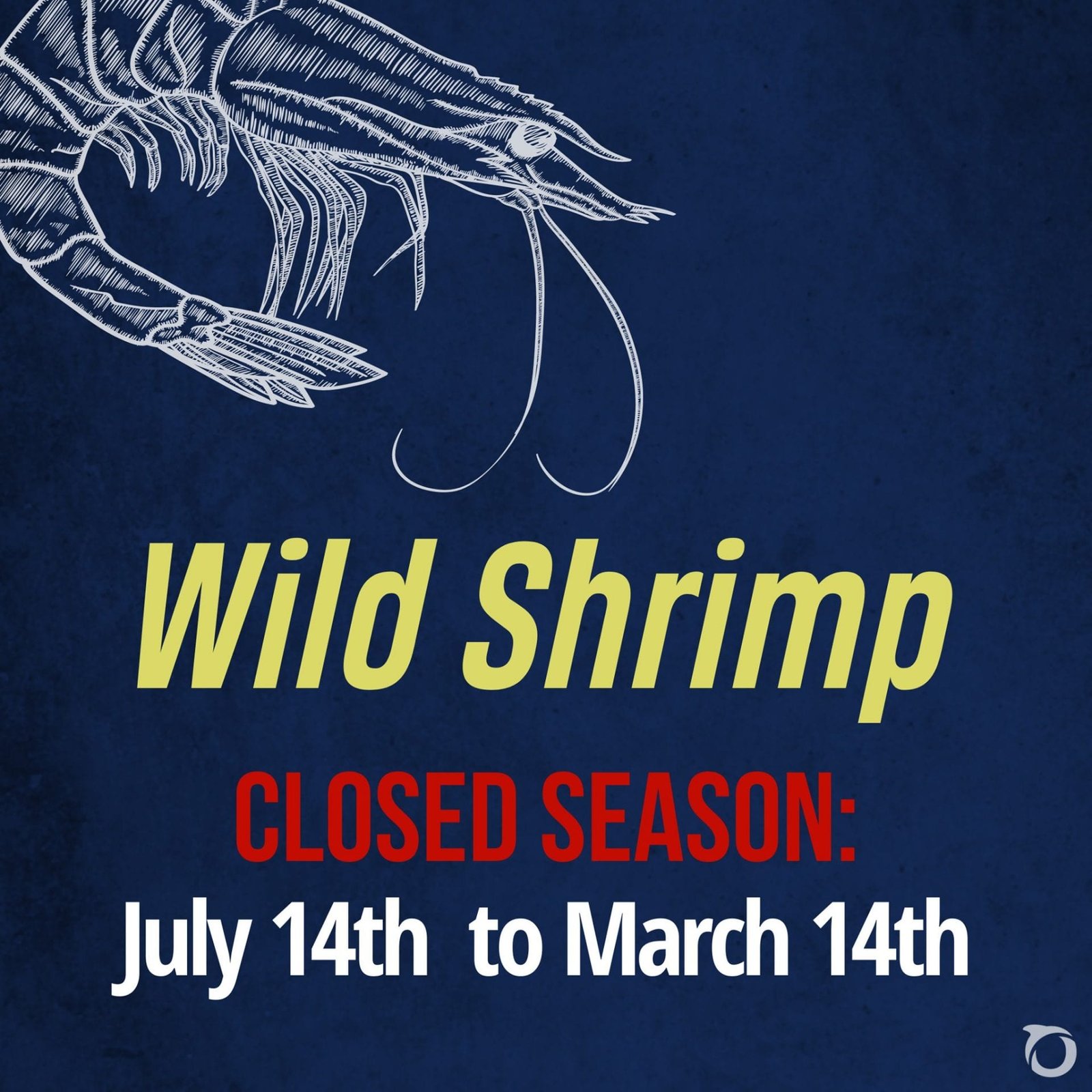 wild shrimp season