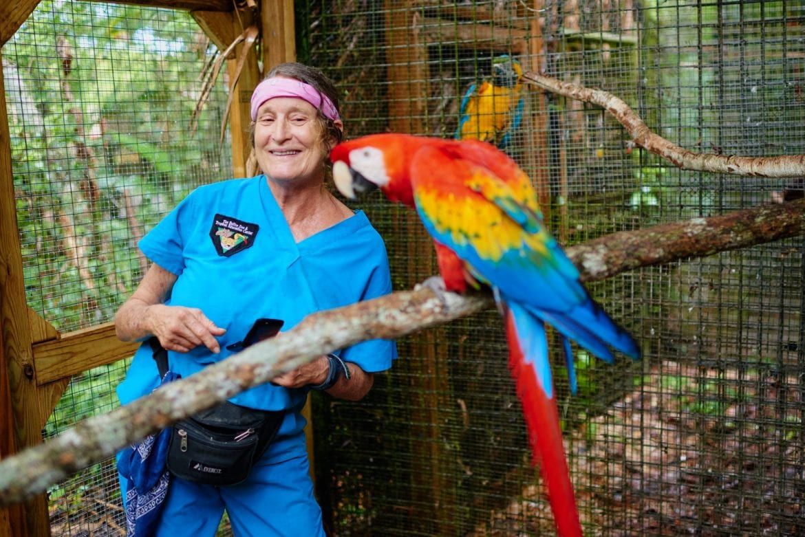 Sharon Matola macaw feed 1 Belize Zoo
