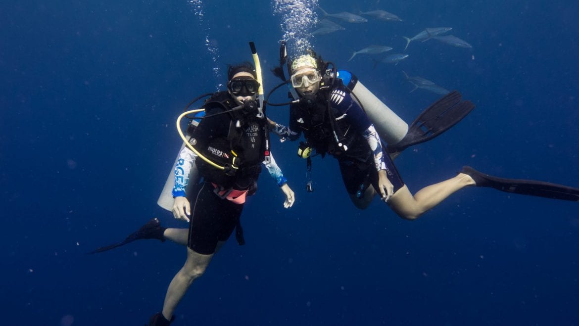 Janelle jamie twin dive