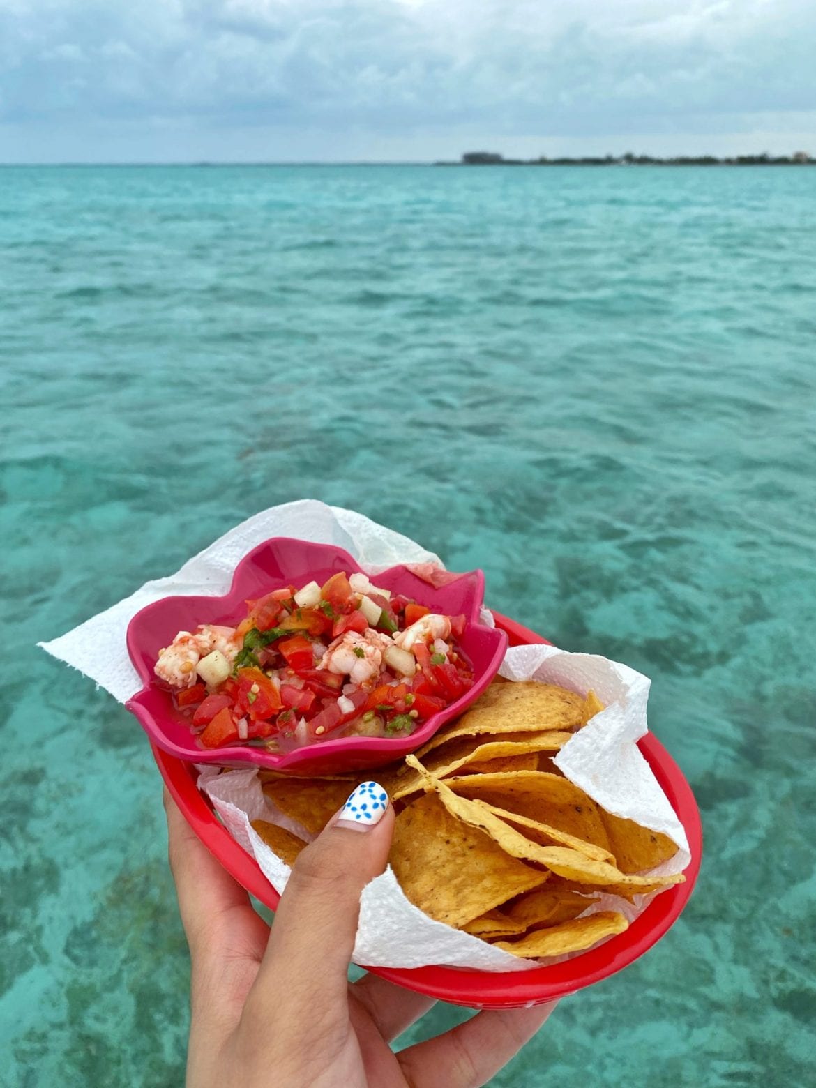 xsite belize Ambergris San Pedro ceviche