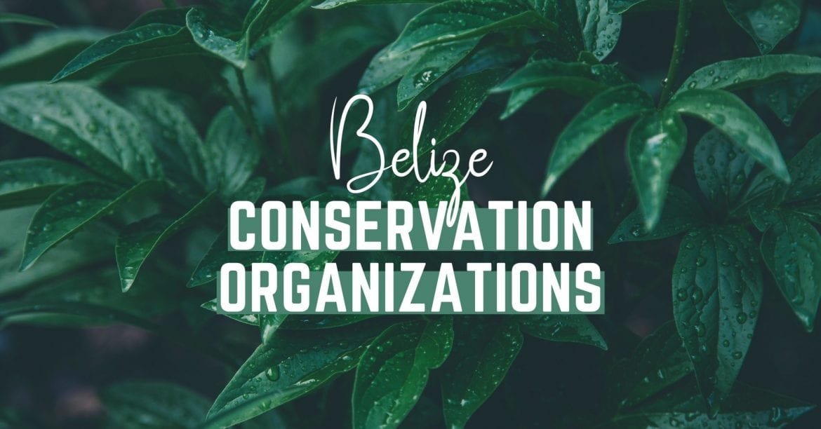 Conservation Organizations