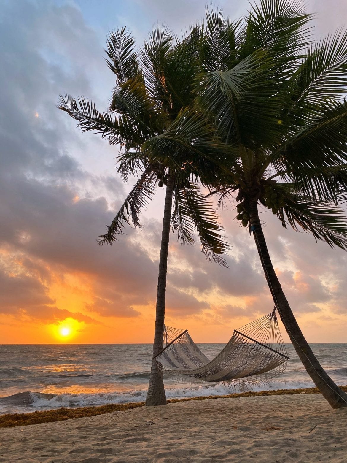 itzana sunrise by Carolee Chanona