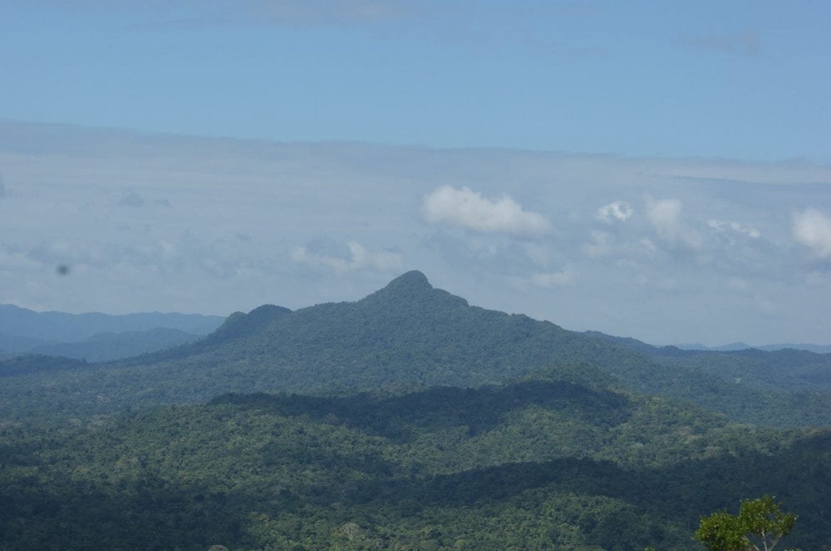 outlier trail cockscomb belize audubon