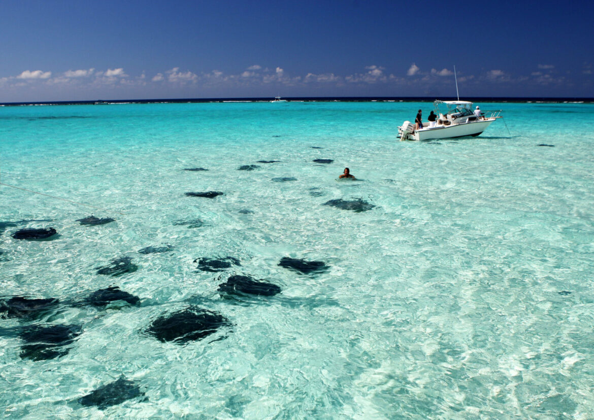Stingray_City_-_Photo_Credit_Cayman_Islands_Department_of_Tourism