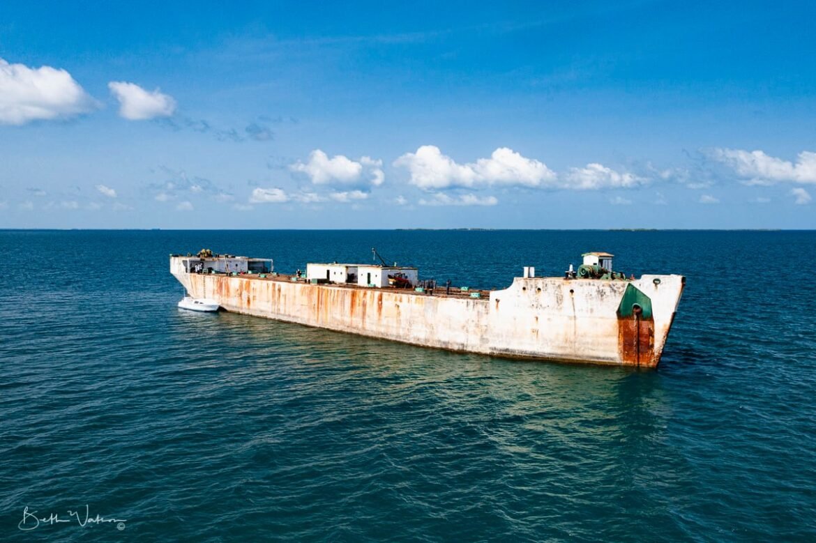 wit-wreck-dive-turneffe-beth-watson-4