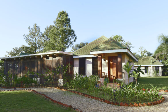 Belize’s Famous Royal Rat: Foodies Love Gibnut Seasoned & Stewed