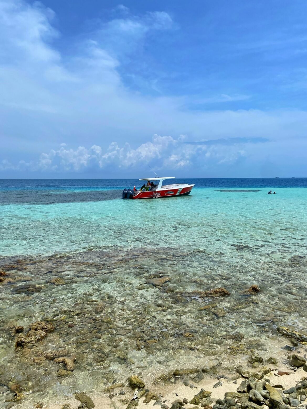 snorkel-splash-dive-belize-placencia-silk-caye