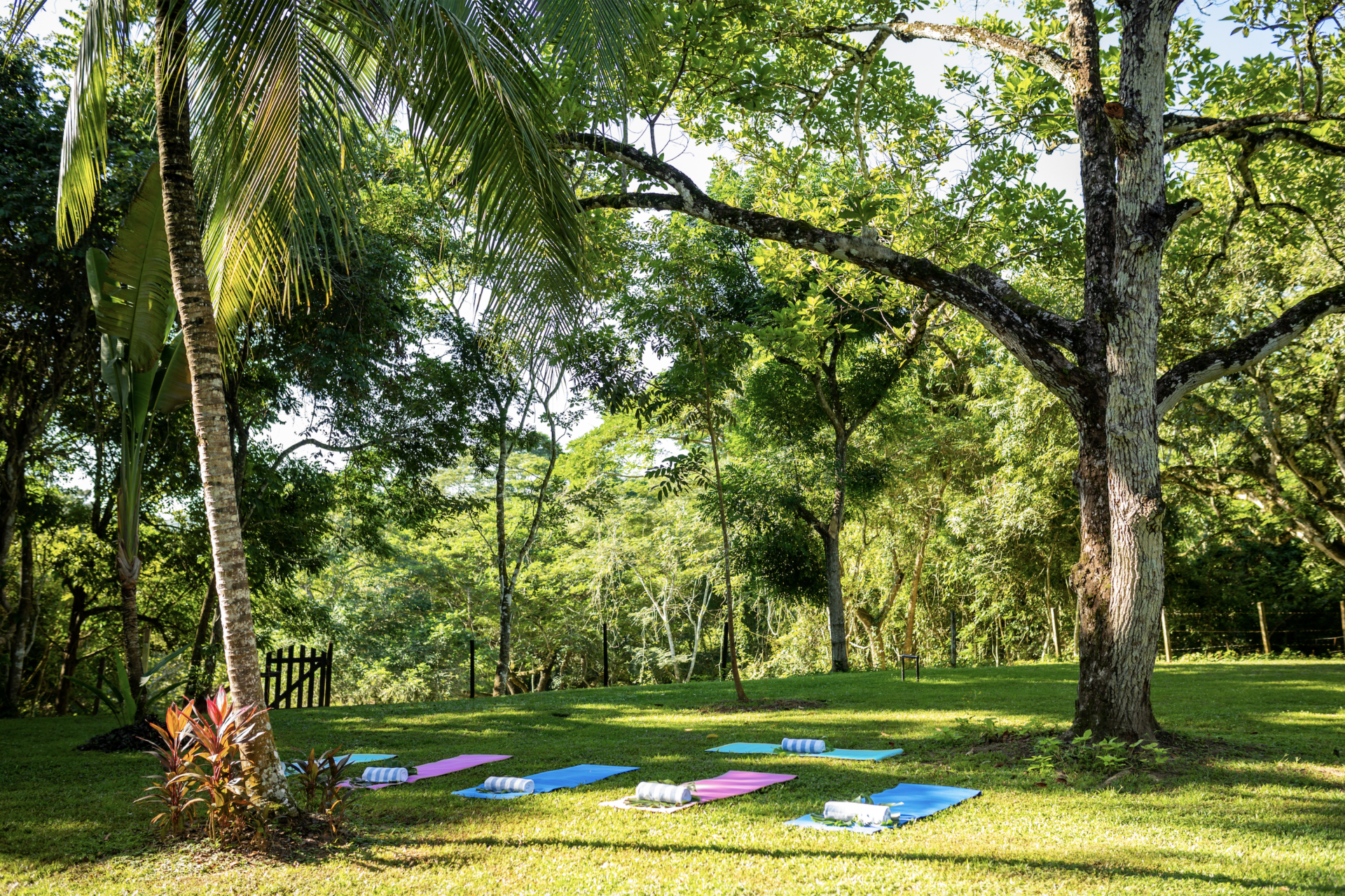 yoga mats on lawn sweet songs belize jungle lodge muyono