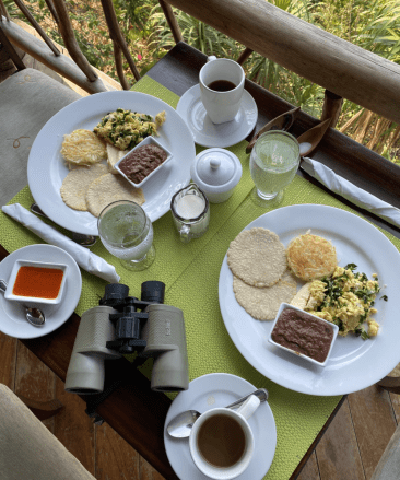 gaia-breakfast-chaya-eggs-belize-mpr