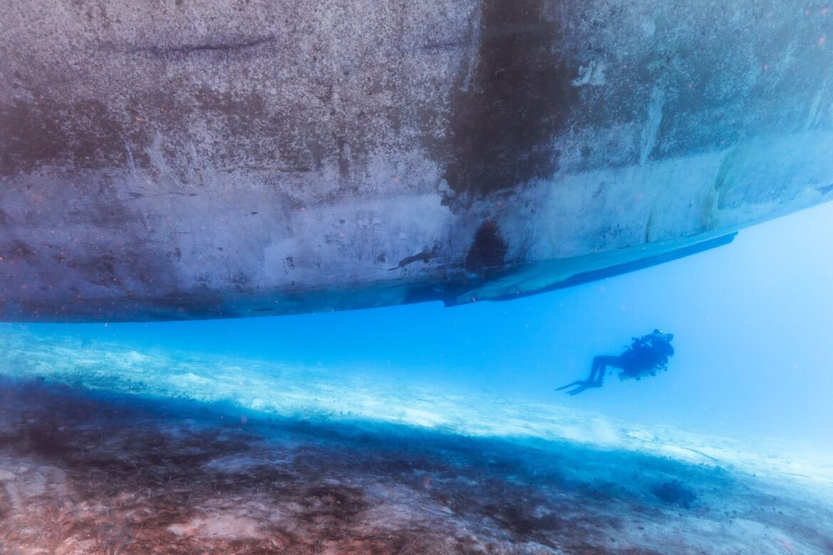 the-wit-emil-magana-turneffe-belize-diving-underwater