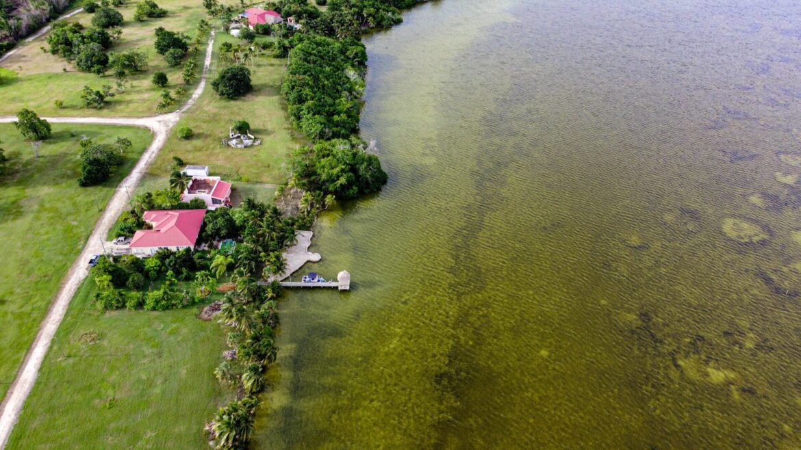 progresso corozal belize aerial