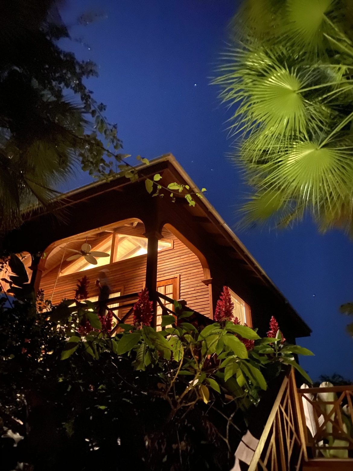 CChan-HAMANASI-treehouse