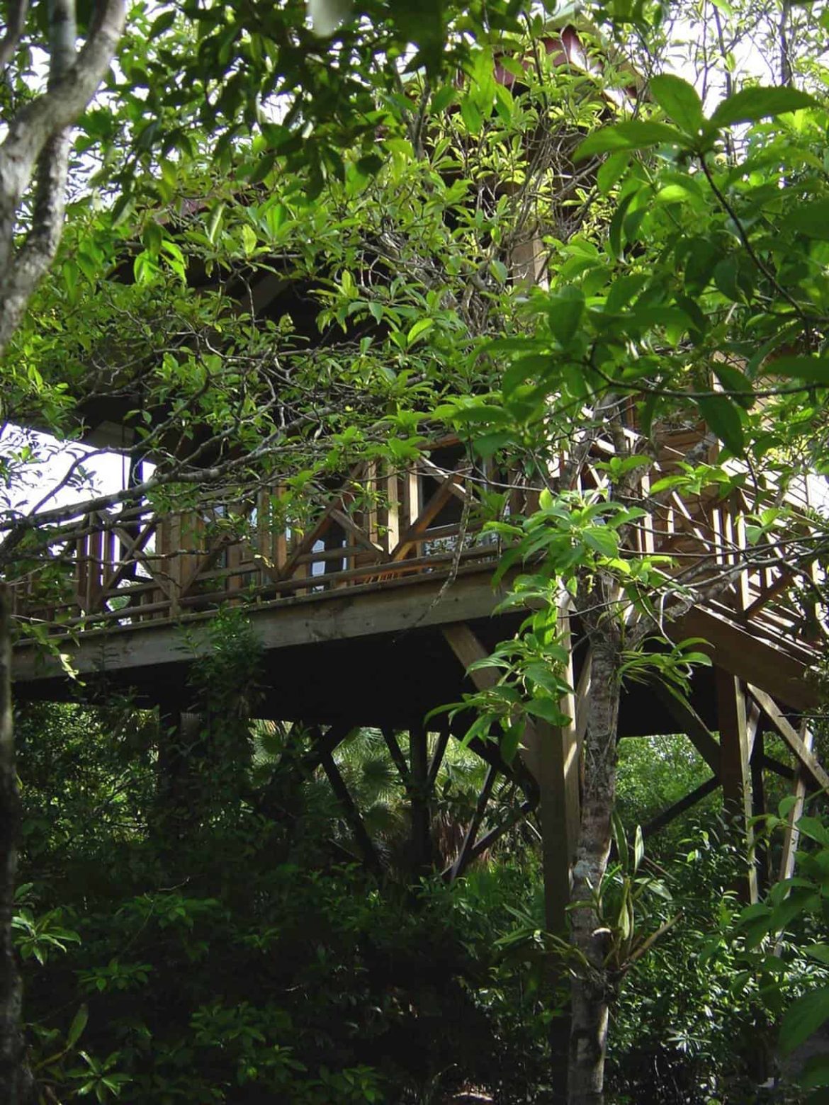 Stay Cool In These Belize Treehouses with Hamanasi Resort