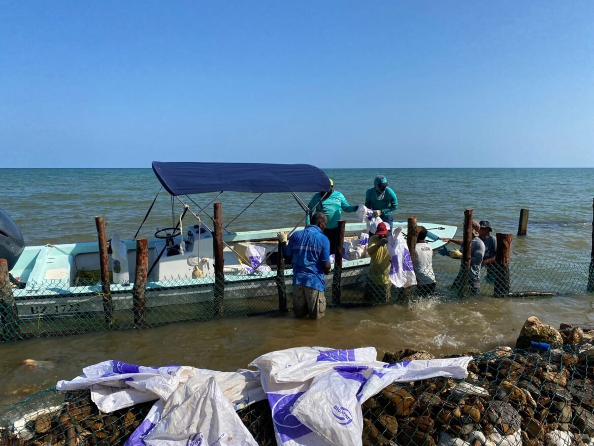 monkey river erosion recovery efforts