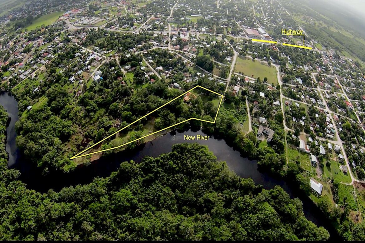 vista real estate orange walk