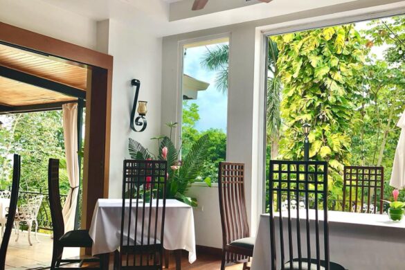 Belize’s Famous Royal Rat: Foodies Love Gibnut Seasoned & Stewed