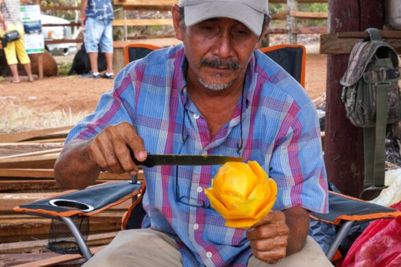 Belize’s Famous Royal Rat: Foodies Love Gibnut Seasoned & Stewed