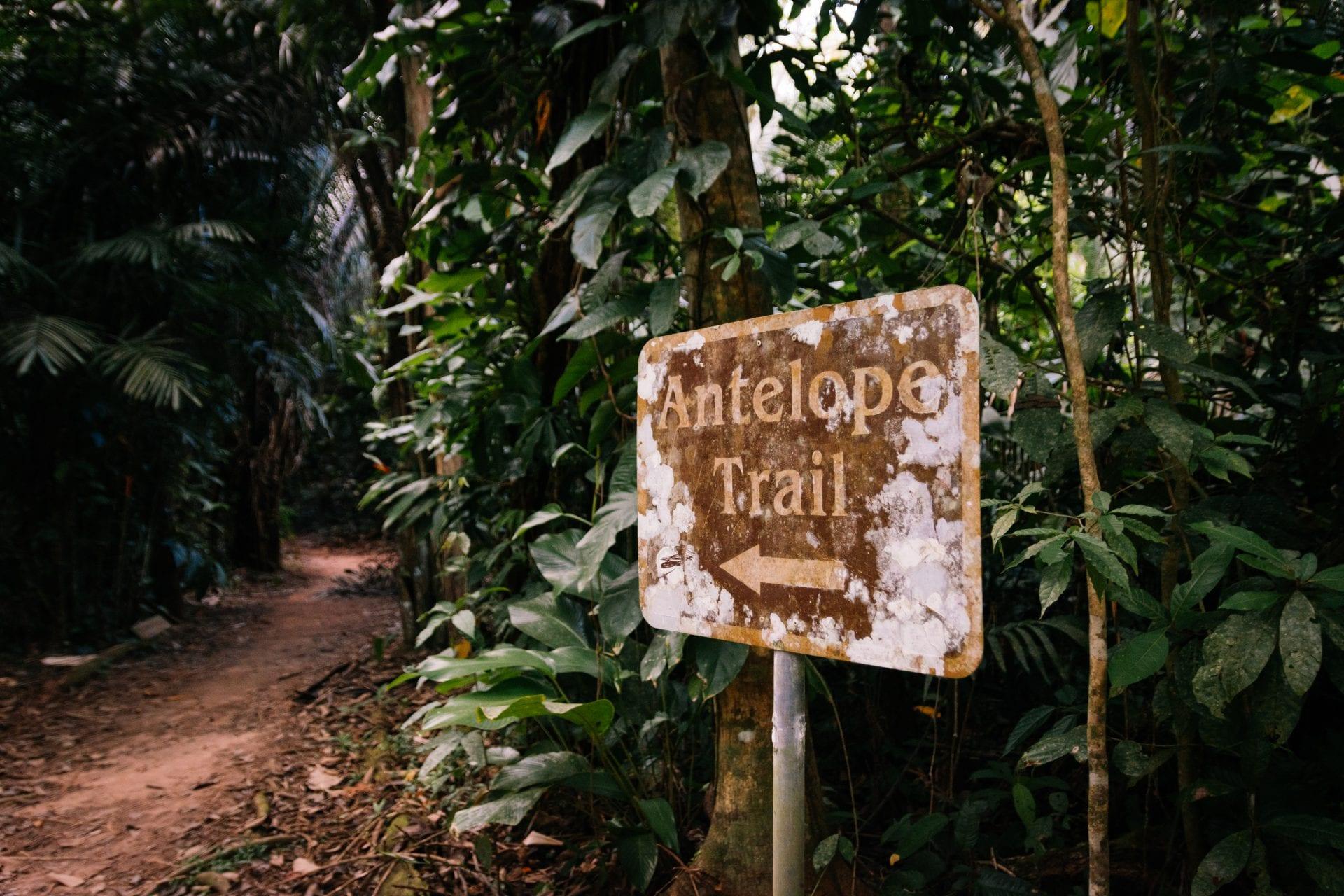 Antelope-sign_Photography-by-quilz-tamay
