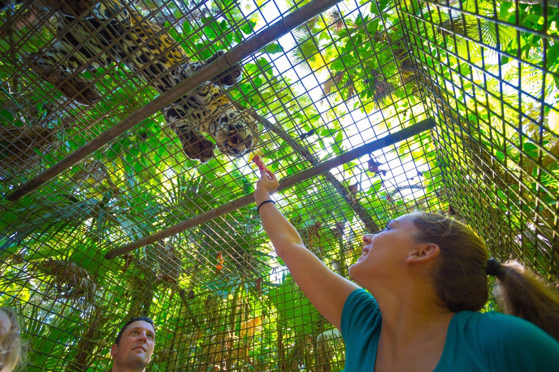 BelizeZoo7