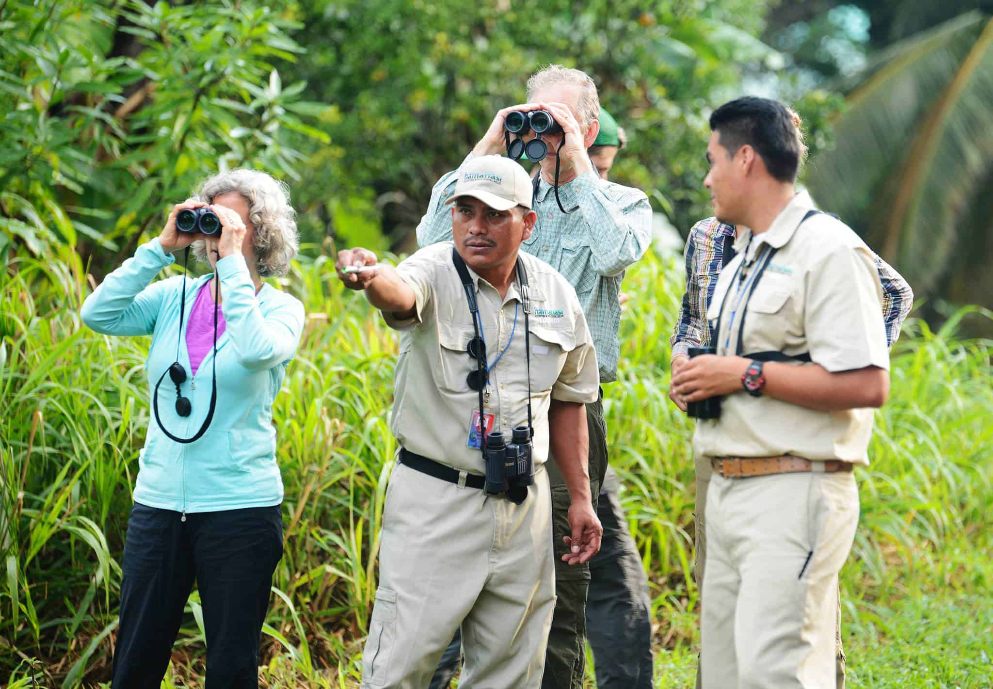 Birding_Guests_DSC5631-hamanasi