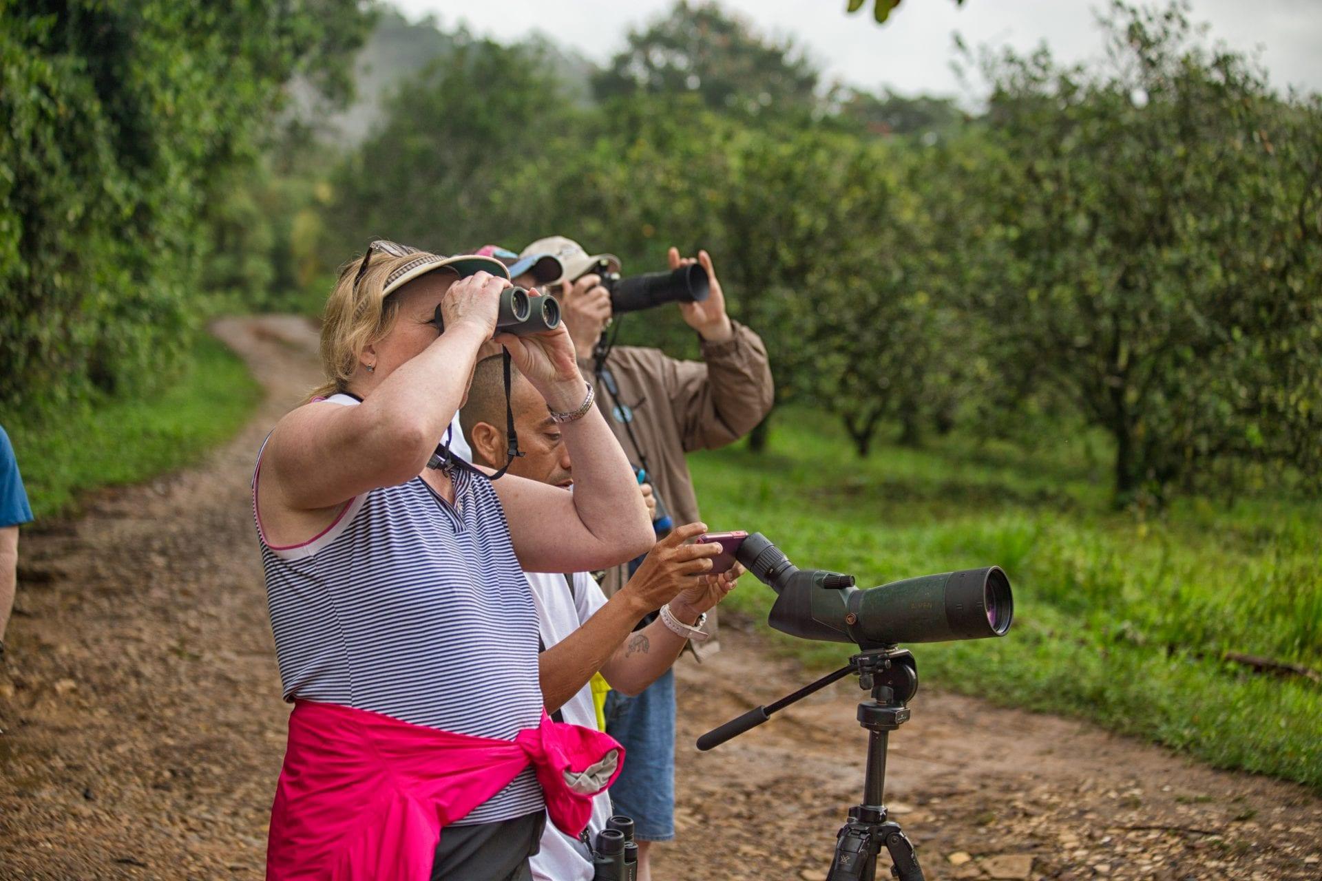 Birdwatching-6