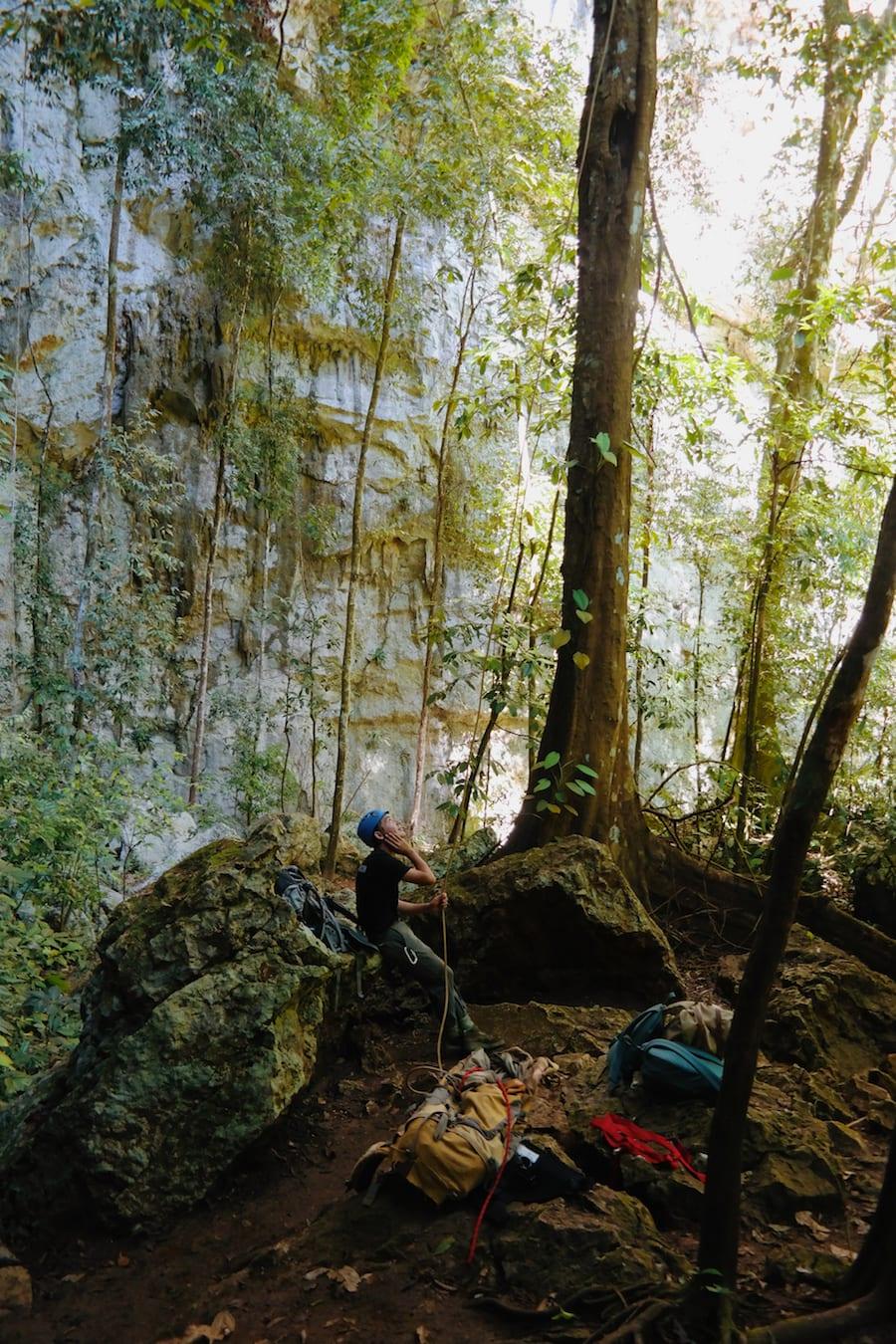 Black-Hole-Drop-Caves-Branch-by-Little-Wanderbook