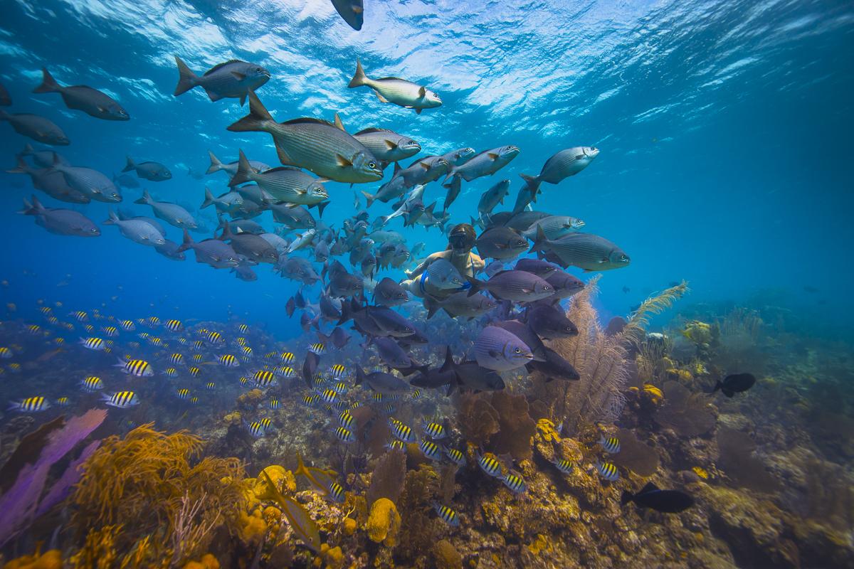 Blue-Hole-Snorkel-btb-belize