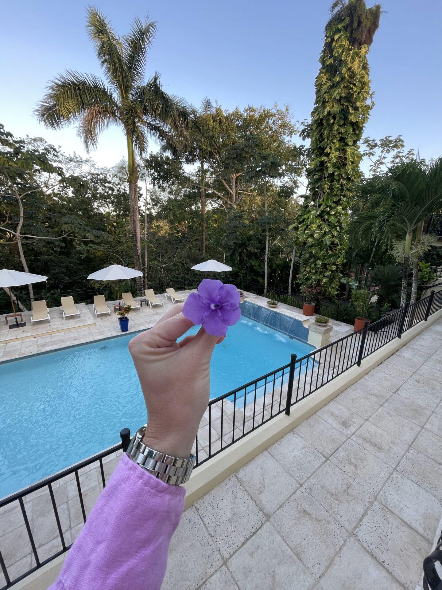 CCL-San-Ignacio-Hotel-IMG_9026-1