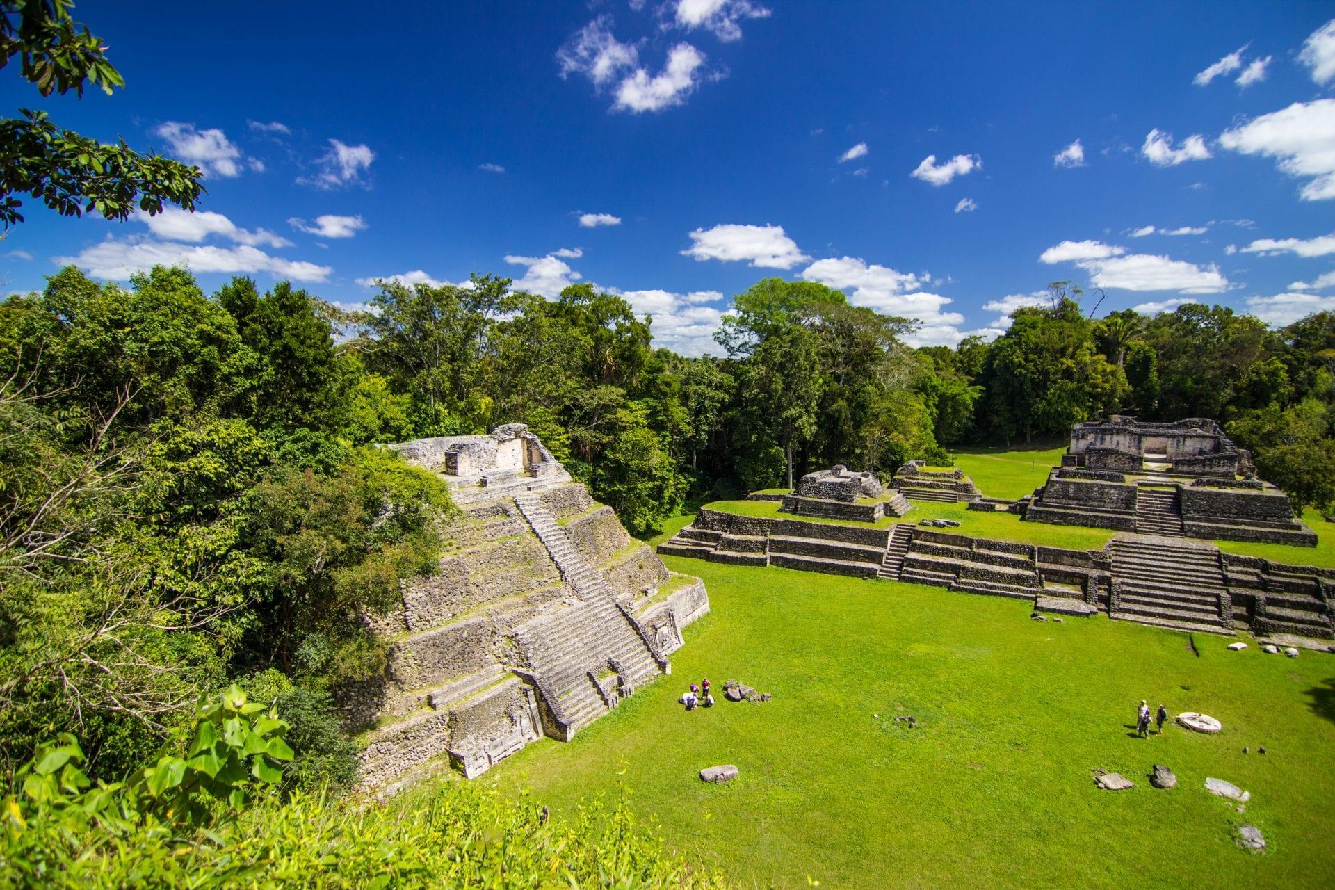 Caracol-19