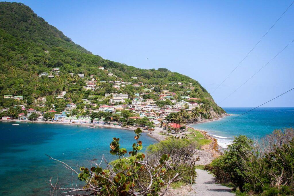 Dominica_Scotts_Head