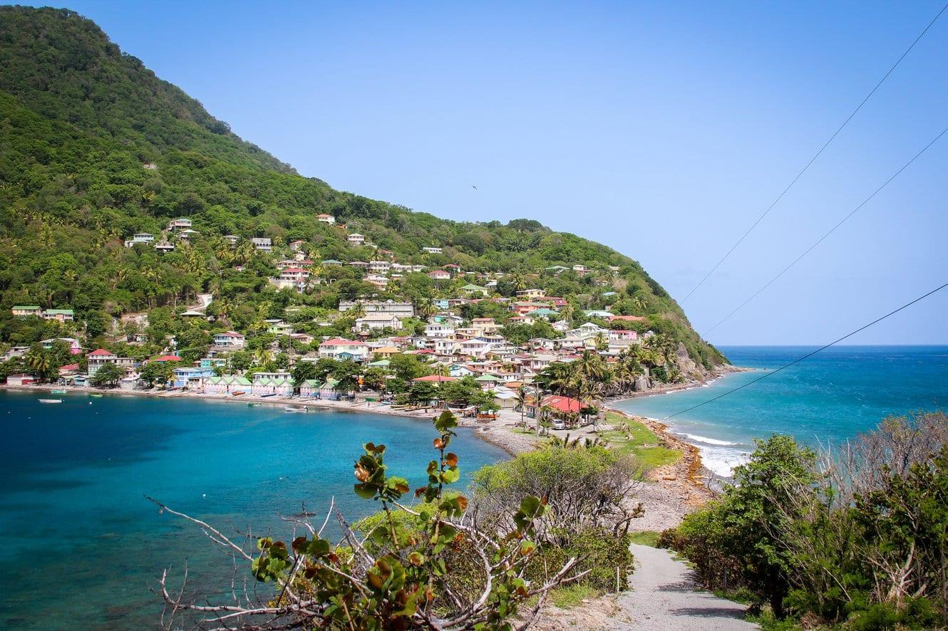 Dominica_Scotts_Head