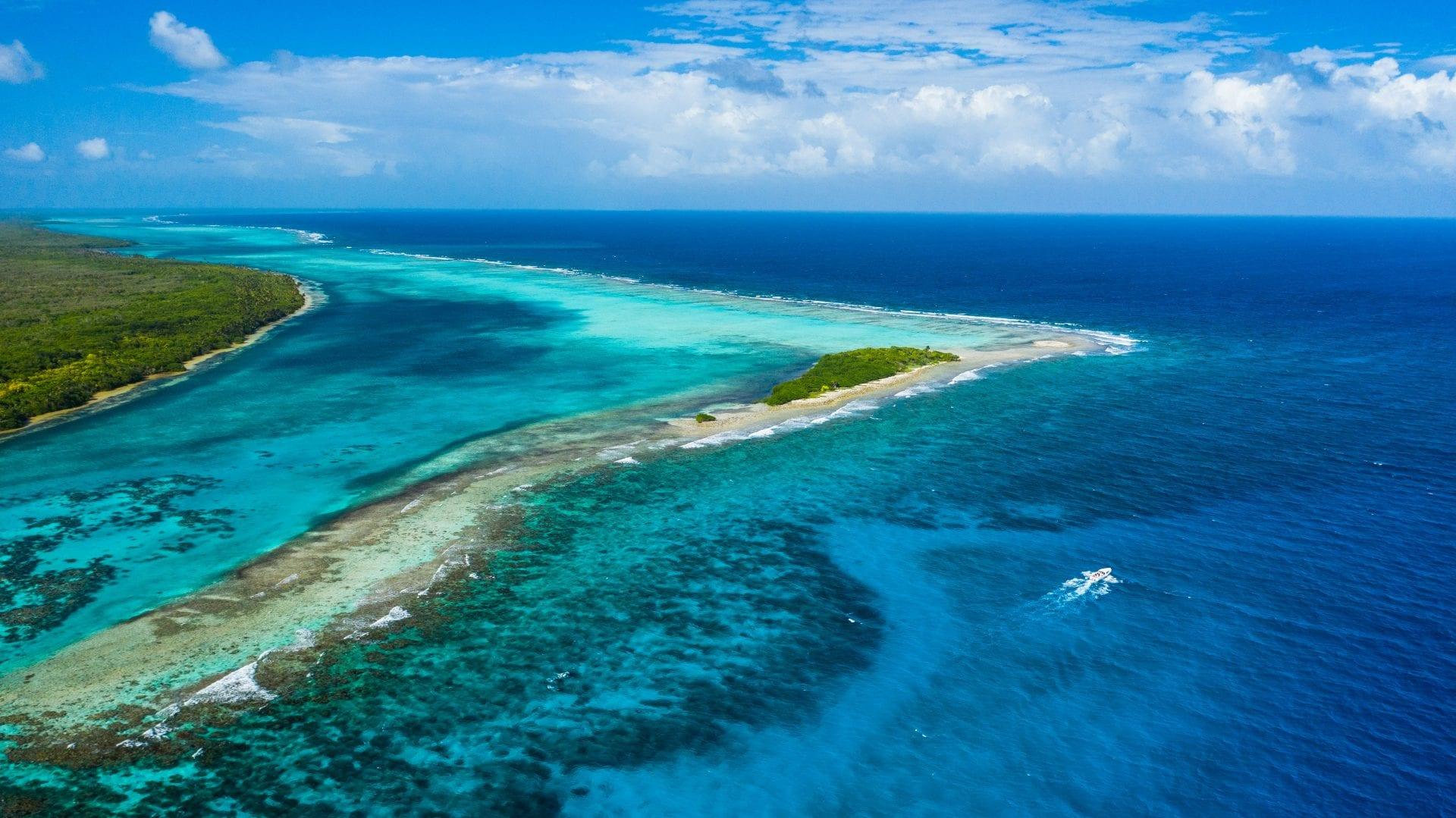 Drone_Black_Bird_Caye_DuarteDellarole_2